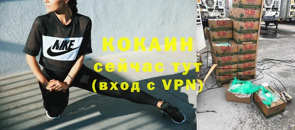 ешки Алексин
